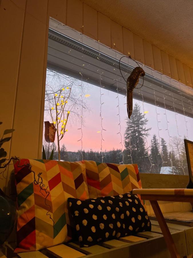 The Messy Owl Inn & Eco Haven Likely Εξωτερικό φωτογραφία