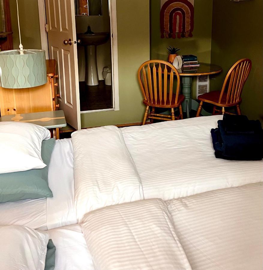The Messy Owl Inn & Eco Haven Likely Εξωτερικό φωτογραφία